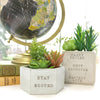 Earth Day DIY Stamped Planters