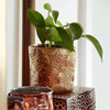 DIY Rubber Stamped Clay Planter