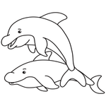 Dolphins Stamp