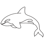 Orca Stamp