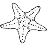 Starfish 2 Stamp